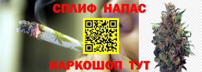 трава Кунгур